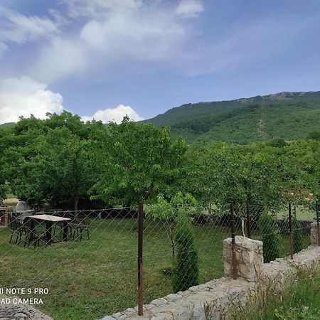 Aleks Villa Ohrid Exterior photo