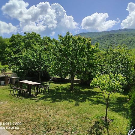 Aleks Villa Ohrid Exterior photo