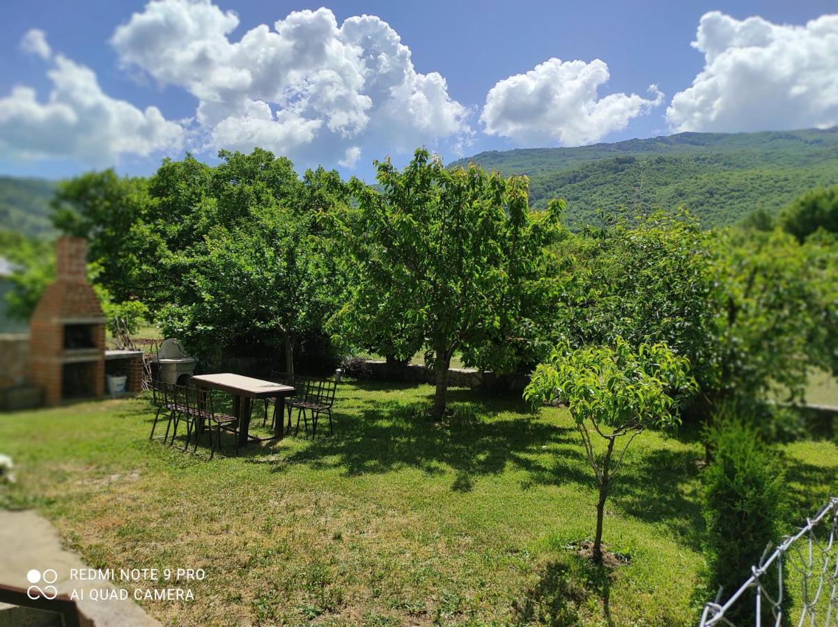 Aleks Villa Ohrid Exterior photo